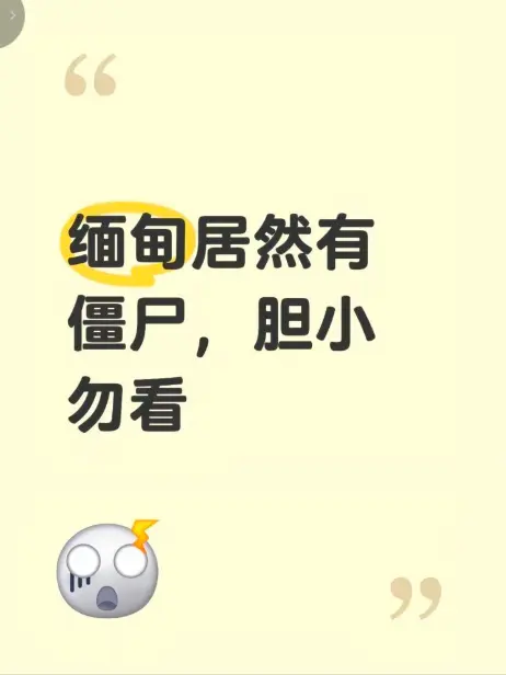 《缅甸僵尸出土事件》视频最新高清完整版-揭秘缅北神秘事件真相现场全程录像-缅甸僵尸出土事件免费在线观看