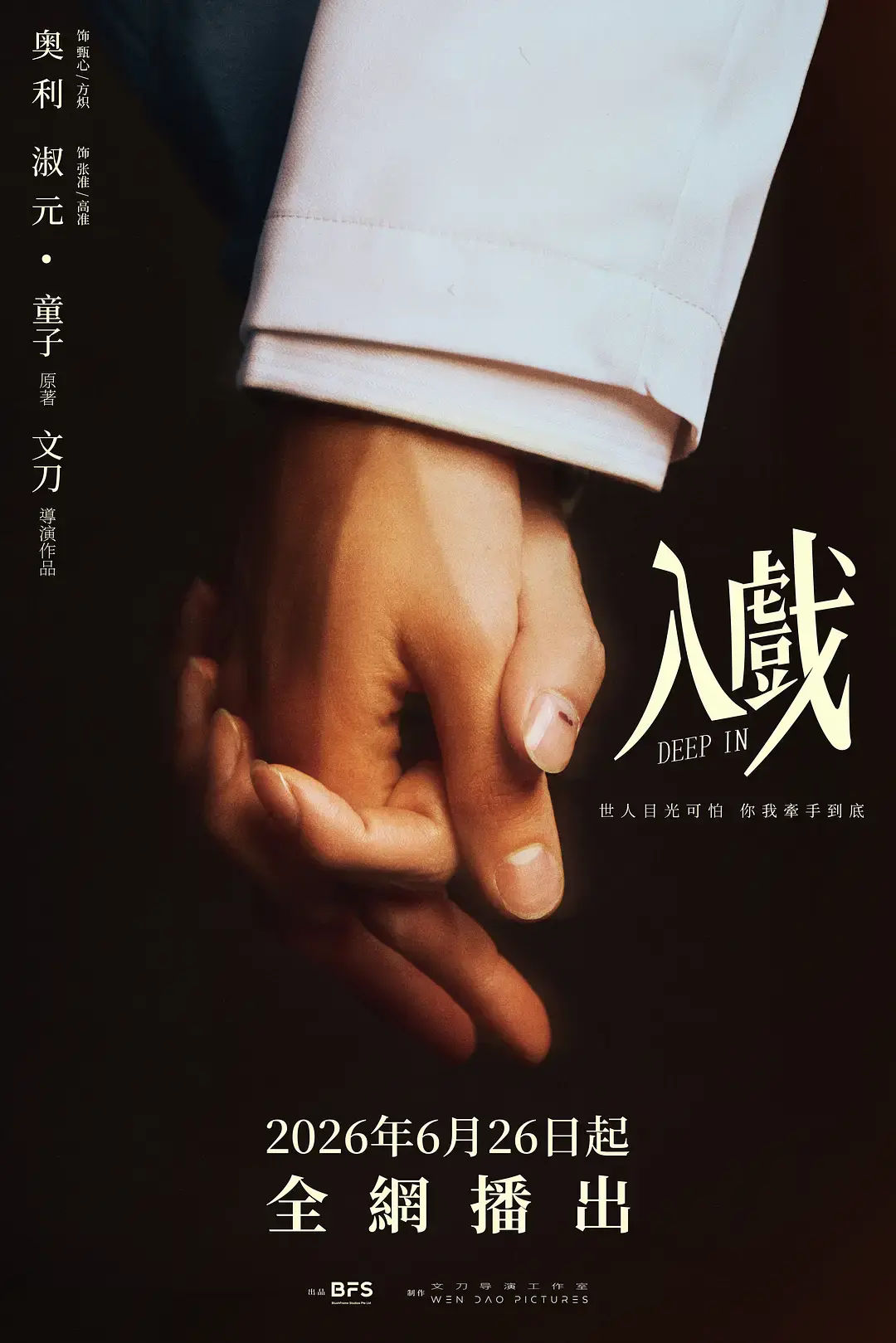 《入戏》全季全集高清在线观看-2026国产双男主剧《入戏》无删减版-免费播放HD高清画质