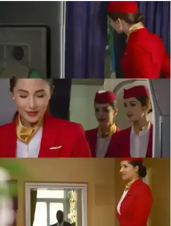 《法国空姐2》相关资源图片