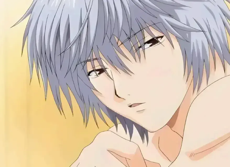 双男主动漫《幸福花园OVA纤细的爱》1080P高清中字完整版-番剧全季无广告在线点播流畅播放