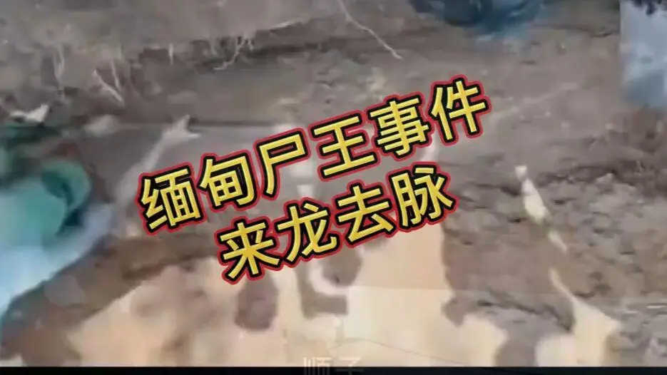 缅甸僵尸出土事件视频在线观看免费播放 - 缅北僵尸出土事件始末原视频高清下载完整版资源